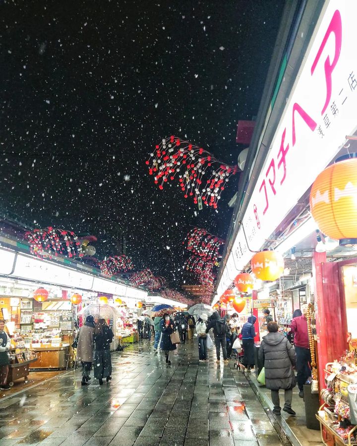 浅草仲店ツルヤ鼈甲専門店 かんざし - その他